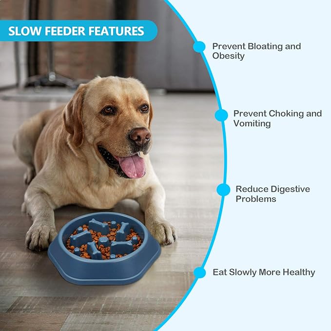 UPSKY Slow Feeder Dog Bowl Anti-Chocking Slower Feeding Pet Puzzle Bowls, Interactive Bloat Stop Dog Food Dishes Non-Slide Dogs Lick Treat for Small Medium