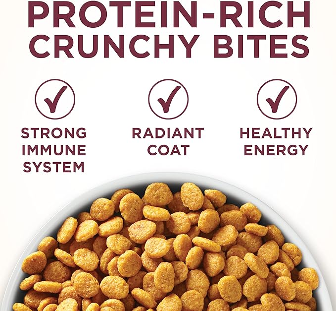 Purina ONE High Protein Dry Cat Food, +Plus Urinary Tract Health Formula - 3.5 lb. Bag