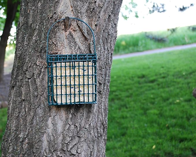 Wildlife Sciences Woodpecker Blend Suet Cakes, 11 oz., 12 Suet Cakes