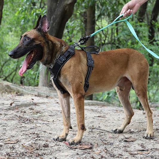 ICEFANG Dog Strap Harness with 4 x Metal Buckles,for Medium Sized Dog,K9 Vest,Y-Shape Chest,Adjustable Pet Harness,No-Pull Front Leash Clip (Medium (Pack of 1), Black)