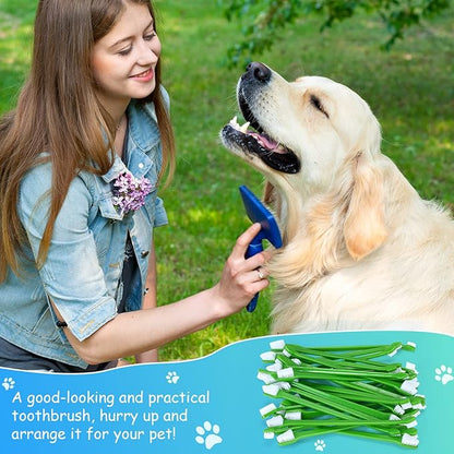 Honeydak Dog Toothbrush Bulk Dual Headed Dental Brushes Dogs Tooth Brushing Kit Long Handle Pet Tooth Brush for Puppy Large Small Cats and Most Pets Teeth Cleaning Dental Supplies(70 Pcs,Green)