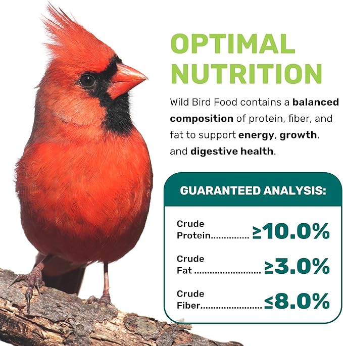 Wild Bird Seed 5 Lbs, Premium Mixed Wild Birdseeds, Nut Free Mix Feed, Nutrient-Rich Birdseeds, Supports Daily Energy Growth & Healthy Balanced Diet, Bird Seed for Outside Feeders