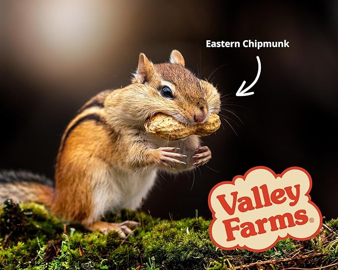 Valley Farms Squirrel & Wildlife Mix (4 LB) Wildlife Food and Wild Bird Food, Bird Seed for Squirrel Chipmunks & Deer, Peanuts, Black Oil Sunflower & Corn