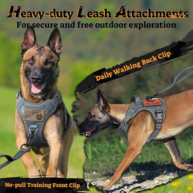 rabbitgoo Dog Harness for Large Dogs No Pull, Tactical Service Pet Vest with Molle and Control Handle, Adjustable and Reflective Military Harness for Easy Walking and Training, Grey, L