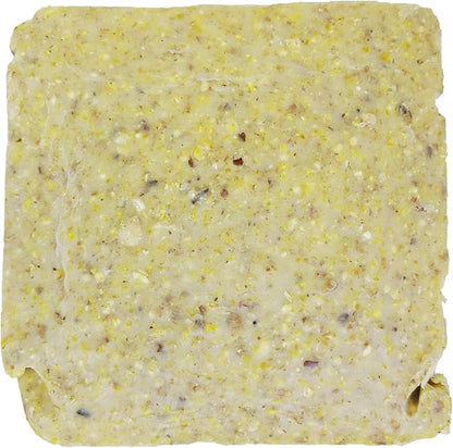 Suet Cake Variety Packs | 11 oz. Wild Bird Suet Cakes | (Pecan, 10 Pack)