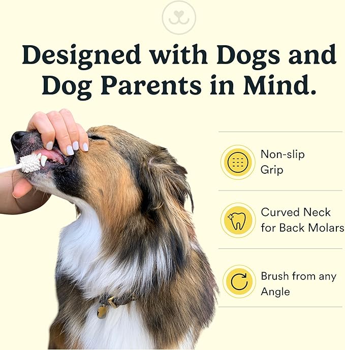 Jasper Macrobrush 360º, Dog Toothbrush for Medium to Large Dogs, Soft-Bristled Dog Tooth Brushing Kit - Premium Non-Slip Handle with 2 Replaceable Tooth Brush Heads, Use with Pet Toothpaste