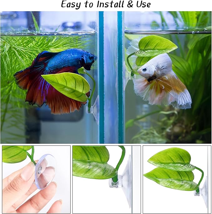URATOT 4 Pack Betta Fish Leaf Pad Simulating The Natural Habitat for Betta Spawning Grounds Breeding Resting Bed