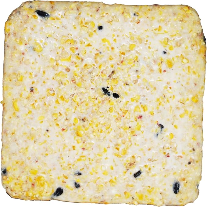 Suet Cake Variety Packs | 11 oz. Wild Bird Suet Cakes | (High Energy, 10 Pack)