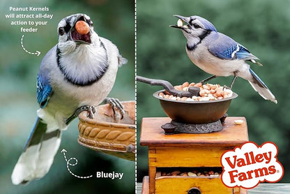 Valley Farms Whole Peanut Kernels (4 LB) Wild Bird Food for Outside Feeders, Peanuts for Birds, Chickadee Bird Seed for Outside Feeders, No Mess Bird Seed