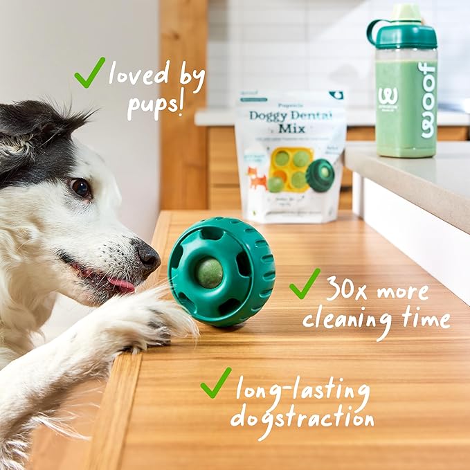WOOF Dental Kit- Includes Pupsicle Dog Toy, Treat Tray, Shaker Bottle, Chicken Pupsicle Pops, and Dog Teeth Cleaning Powder - Supports Oral Health for Dogs - Small