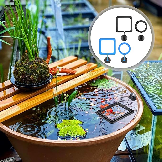 4 Pcs Fish Feeding Ring for,Prevent Water Turbulence from Washing Food Into Filter,Betta Feeding Ring,Feeding Ring for Fish Tank,Aquarium Feeding Ring Betta Guppy Goldfish and Other Small Fishes