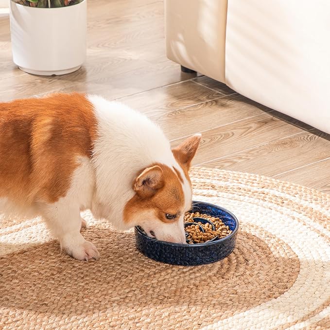 vancasso Slow Feeder Dog Bowl, 1.5 Cups Ceramic Slow Feeder for Medium Breed, Puzzle Maze Dog Food Bowl for Fast Eater, Blue