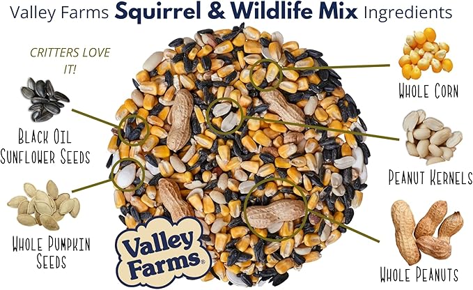 Valley Farms Squirrel & Wildlife Mix (4 LB) Wildlife Food and Wild Bird Food, Bird Seed for Squirrel Chipmunks & Deer, Peanuts, Black Oil Sunflower & Corn