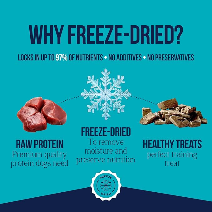 Stewart Single Ingredient Freeze Dried Raw Dog Treats, Beef Liver, 3.5 Ounce, Approx. 75 Pieces per Resealable Pouch, Training Treats or Meal Topper, High Protein, Grain Free, Gluten Free