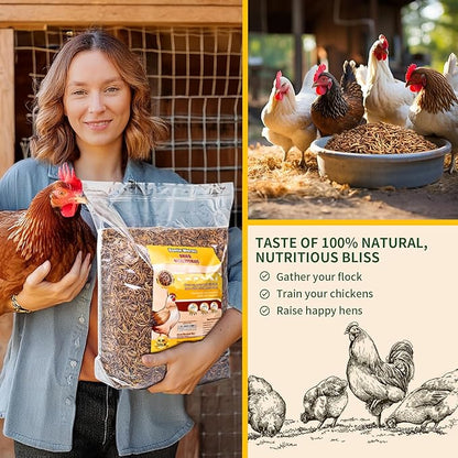 10LB Dried Mealworms, 100% Natural, Non-GMO Meal Worms, Dried for Chickens, Wild Birds, Reptile, Hamster, Hedgehog, Pigeon