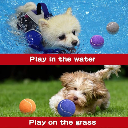 Yunsailing 30 Pieces Dog Tennis Balls Bulk 2.5 Inch Tennis Balls for Dogs Colored Mini Pet Toy Bulk for Large Medium Small Puppy Training Exercis(Multicolor)