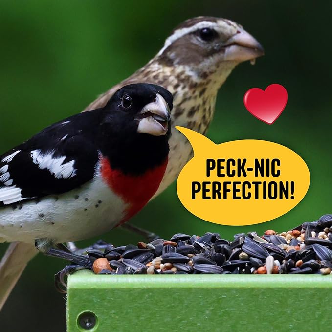 All Birds Wild Bird Seed – 10 lb. Classic Blend with Black Oil Sunflower, White Millet, Safflower, Peanuts & Sunflower Hearts – Balanced Bird Food for Outside Feeders