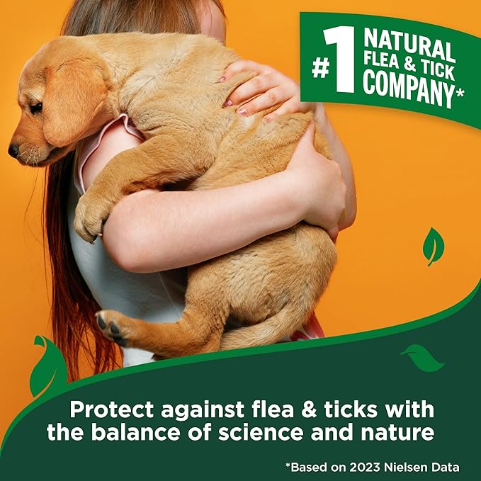 Vet's Best Natural Flea & Tick Home Spray for Dogs – Cotton Spice Scented Indoor Pest Control Spray – Natural Flea & Tick Protection with Certified Plant-Based Ingredients – Made in USA – 96 oz Refill