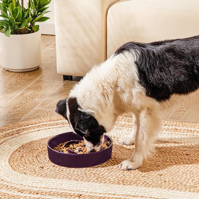 vancasso Slow Feeder Dog Bowl, 3 Cups Ceramic Slow Feeder for Large Breed, Puzzle Maze Dog Food Bowl for Fast Eater, Dark Purple