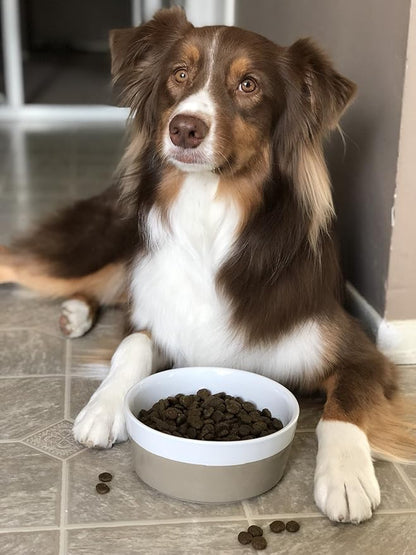 Waggo Dipper Ceramic Dog Bowl for Small and Large Breeds - Heavyweight and Durable Pet Food and Water Dish Crock, Dishwasher Safe, Modern (Vintage Grey, Small)