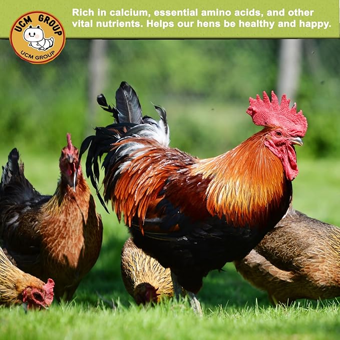 UCM Group 5LB Dried Black Soldier Fly Larvae for Chicken, Poultry, Wild Birds,No Additives, 100% Natural Non-GMO, More Calcium Chicken Treats Than Mealworms