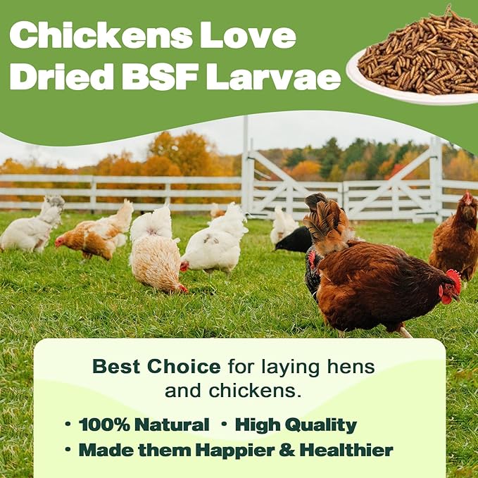 22LB Dried Black Soldier Fly Larvae, 2 Pack of 11 LBS, 86X Calcium Than Dried Mealworms, High Protein Non-GMO Organic Chicken Feed