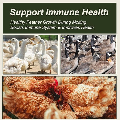 Adaman Dried Mealworms -10 LBS- 100% Natural Non GMO High Protein Mealworms - Bulk Meal Worms for Chickens & Birds, Ducks - Best Chicken Treats, Bird Food, Turtle Food