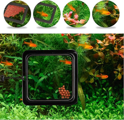 ZRDR Fish Feeding Ring, 2 Pack Black Aquarium Floating Food Feeder Circle Small Round and Square with Flexible Lever Suitable and Suction Cup, Reduces Fish Feeder Waste and Maintains Water Quality