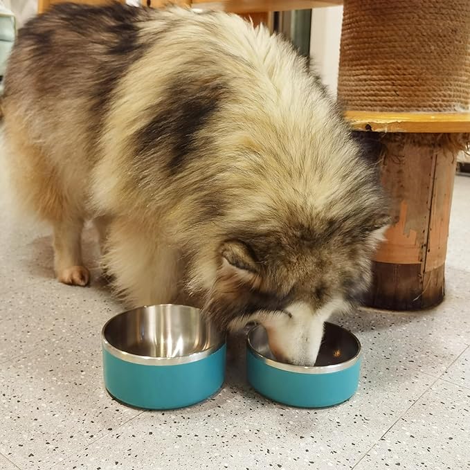 Stainless Steel Dog Bowls, Metal Dog Bowls, Water Bowl for Dogs, Dog Food Bowls, Pet Bowls for Dogs, Dog Dish for Large Dogs, Insulated Dog Bowl, Non Slip Dog Bowl, Easy Clean, 40oz, LakeBlue