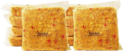 Suet Cake Variety Packs | 10 Berry Suet Cakes for Wild Birds 11 Oz. Each | (Berry, 10 Pack)