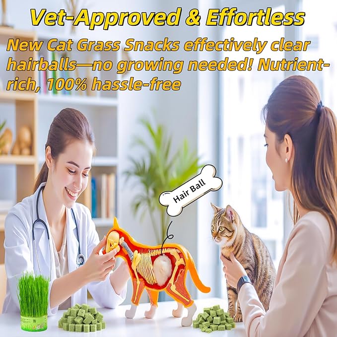 60g/2.12oz Cats Grass Treats Cat Toy for Teeth Cleaning Lickable Catnip Chew Snack for Indoor Fish Oil Flavored Kitty Freeze Dried Food Kitten Grass Teething Stick Hairball Removal Dog Treat