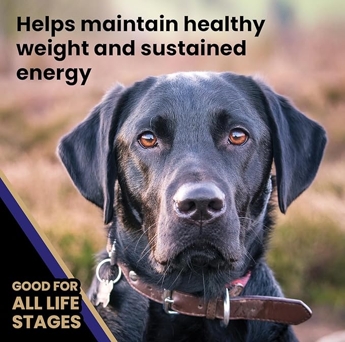 VICTOR Super Premium Dog Food – Select Beef Meal & Brown Rice Formula for Immune and Gut Health – Gluten-Free Beef Meal Dry Dog Food for All Normally Active Dogs of All Life Stages, 30 lbs