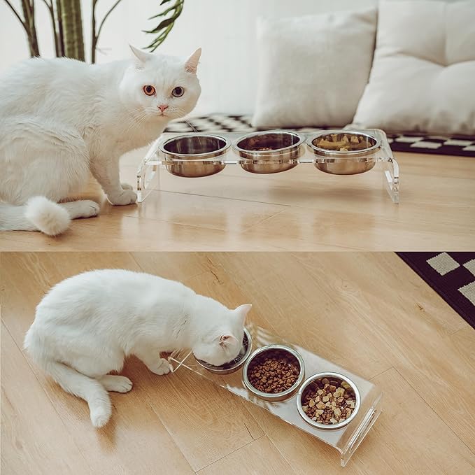 Tilted Raised Elevated Food and Water Bowls Stand for Cat or Small Dogs - Puppy's Clear Acrylic Stainless Steel 3 Dishes Holder for Boy or Girl Pet by WBhonghui (Clear-3bowls)
