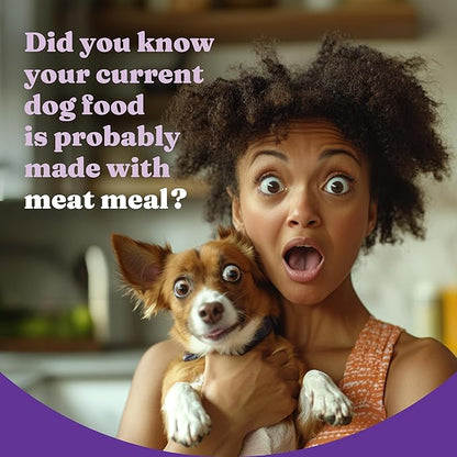 [Halo Holistic] Chicken & Brown Rice