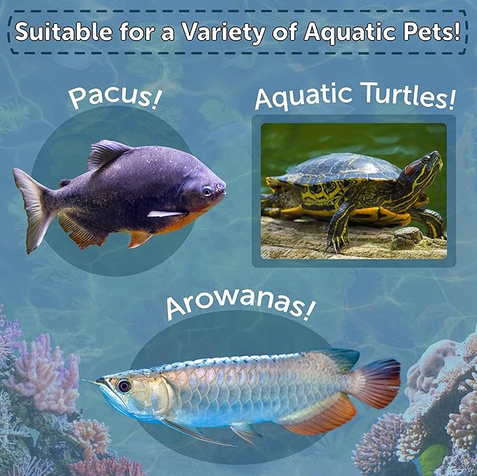 Aquatic Foods Inc. 4-Type Medley Mix of Freeze Dried Superworms, Krill, Red Shrimp, Mealworms for Monster Fish, Reptiles, Turtles, Tortoises, Frogs, Hamsters, Birds, Rodents 1oz Canister