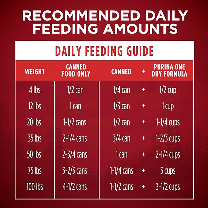 [Purina ONE] Turkey 13 oz (Pack of 6)