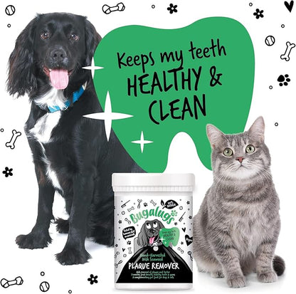 Plaque Off Remover for Dog Teeth & Bad Breath 100% Natural | Plaque Off No Toothbrush or Dog Toothpaste | Remove Dog Bad Breath & Plaque Remover for Dogs & Cats (Dog 70g)