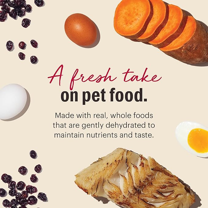 The Honest Kitchen Human Grade Dehydrated Grain Free Dog Food – Complete Meal or Dog Food Topper – Fish 10 lb (makes 40 lbs)