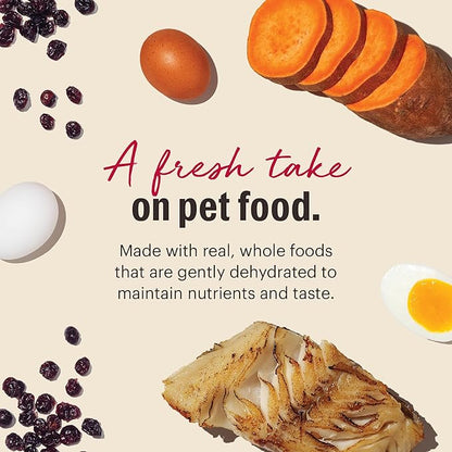 The Honest Kitchen Human Grade Dehydrated Grain Free Dog Food – Complete Meal or Dog Food Topper – Fish 10 lb (makes 40 lbs)