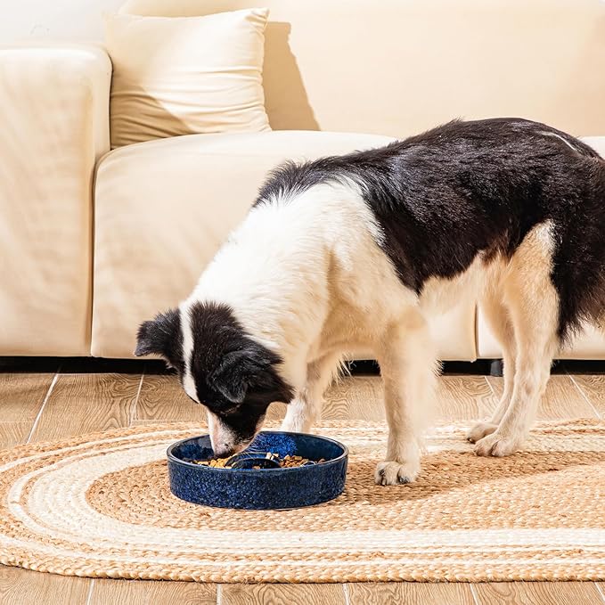 vancasso Slow Feeder Dog Bowl, 3 Cups Ceramic Slow Feeder for Large Breed, Puzzle Maze Dog Food Bowl for Fast Eater, Blue