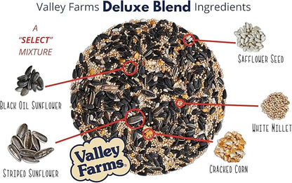 Valley Farms Deluxe Blend 4 LB 2-Pack (8 LBS Total) Wild Bird Food for Outside Feeders with Black Oil Sunflower Seed and Safflower Seed for Birds - A Select Birdseed
