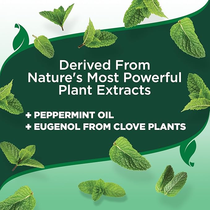 Vet’s Best Flea and Tick Home Spray – Plant-Based Flea and Tick Treatment for Dogs and Indoor Use – Natural Spray with Essential Oils for Flea Control in Home – 32 oz Bottles, 2 Pack