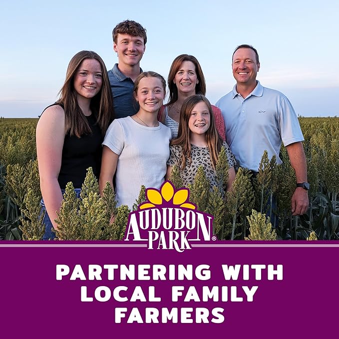 Audubon Park Nut & Fruit Wild Bird Seed – 8 lb. Premium Blend with Sunflower Seeds, Peanuts, Safflower & Dried Fruit – Bird Food for Outside Feeders