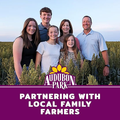 Audubon Park Nut & Fruit Wild Bird Seed – 8 lb. Premium Blend with Sunflower Seeds, Peanuts, Safflower & Dried Fruit – Bird Food for Outside Feeders