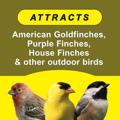 Wild Delight Special Finch Food, 5 lb