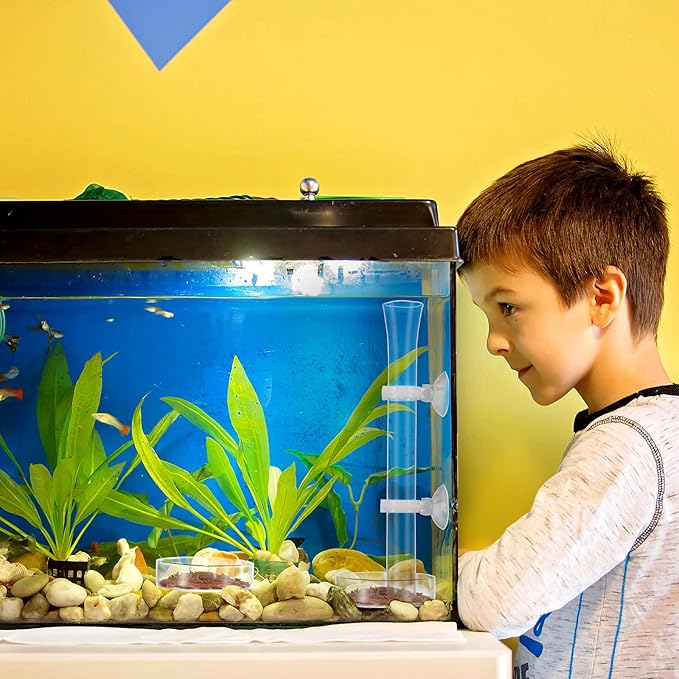 3 Pieces Shrimp Feeding Tube and Dish Set, Include Glass Shrimp Feeder Tube and 2 Aquarium Dish Bowl Fish Tank Feeding Supplies