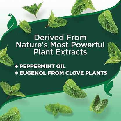 Vet's Best Flea and Tick Yard & Kennel Spray, Dog Flea Spray that Kills Fleas, Mosquitoes, & Ticks, Plant-Based Ingredients, Plant Safe Ready-to-Use Hose Attachment, 32 fl oz