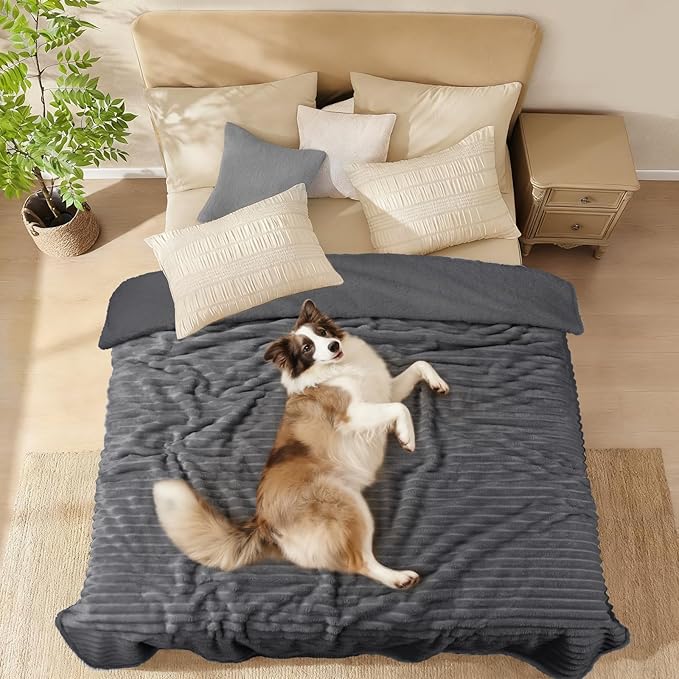 Luciphia Waterproof Dog Blanket for Large Dogs Ultra-Soft Calming Cut Pile Flannel Throw Durable & Warm Furniture Protection for Couch Bed Pet Blanket Machine Washable Stone Gray,L(65''x57'')