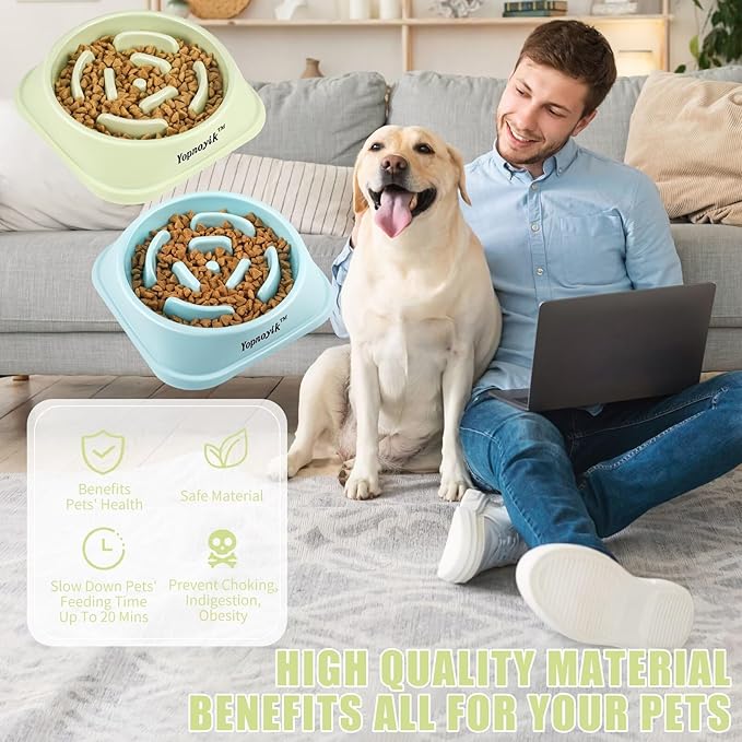 2 Pack Slow Feeder Dog Bowls for Healthy Eating, Non-Slip and Anti-Choking Design, Reduces Bloating & Overeating for Large Dogs, Easy to Clean