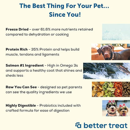A Better Dog Food | Salmon Dry Dog Food | Raw You Can See | High Protein Kibble + Freeze Dried Raw Dog Food